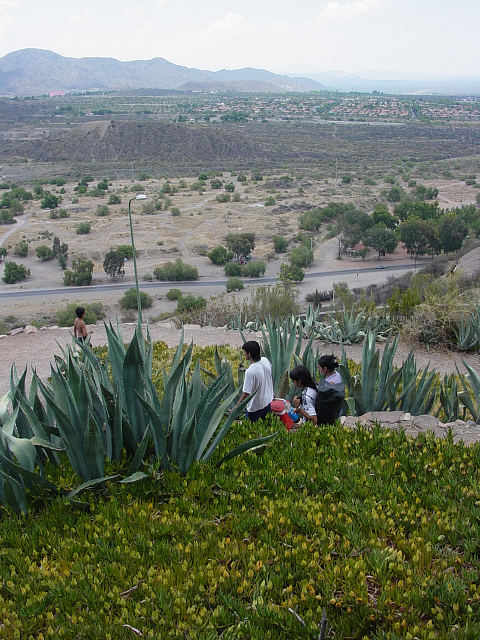 View from atop Cerro de la Gloria, Mendoza
