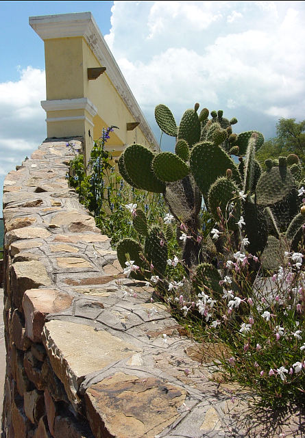 Atop the Cerro San Bernardo, Salta (2)
