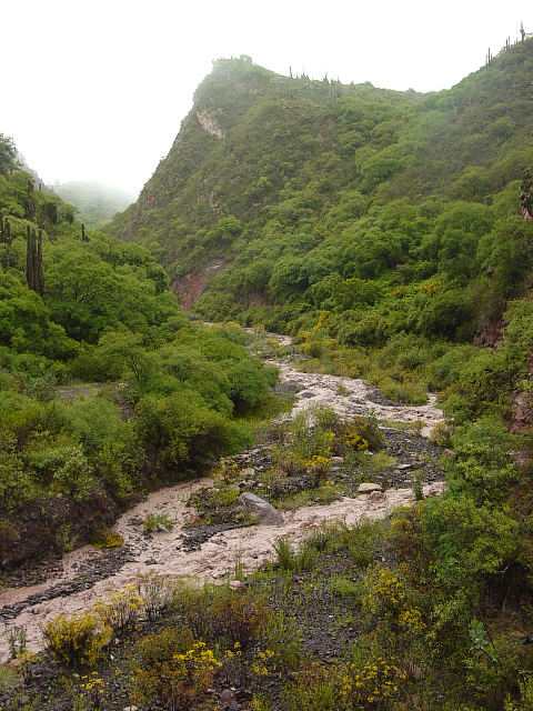 In the Quebrada (Canyon) de Escoipe