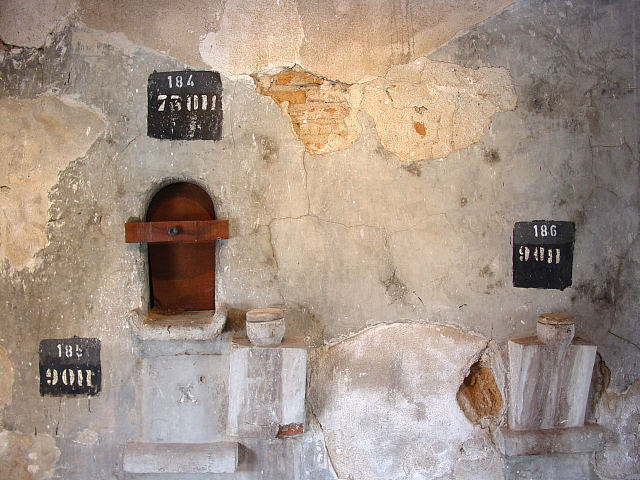 At the Bodega Michel Torino (3)