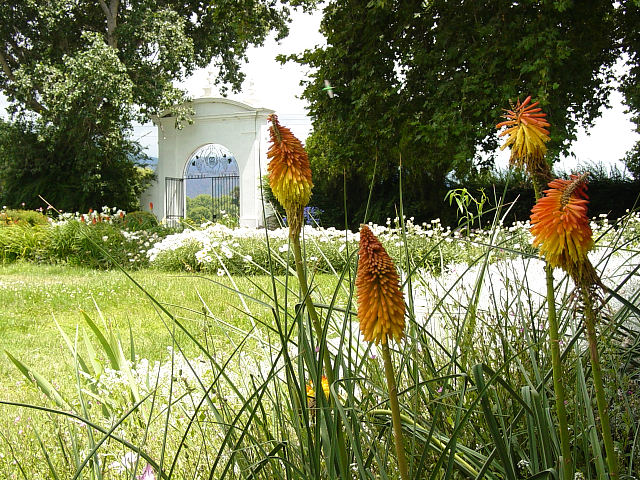 At the Bodega Michel Torino (4)