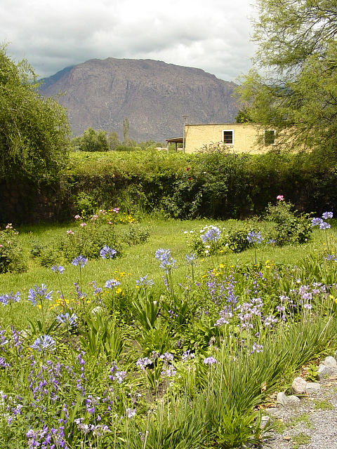 At the Bodega Michel Torino (5).