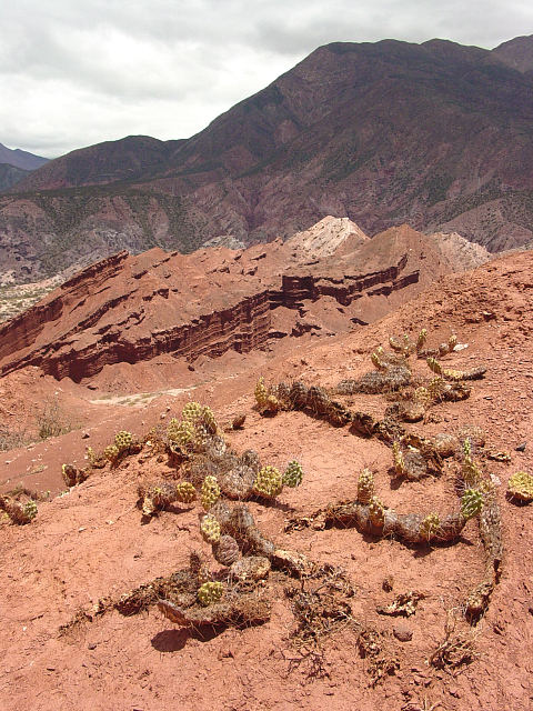 La Quebrada de las Conchas (2)