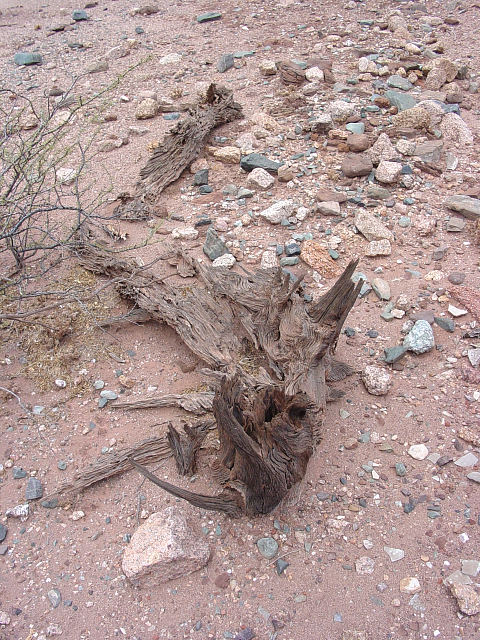 La Quebrada de las Conchas (Canyon of the Shells) (3)