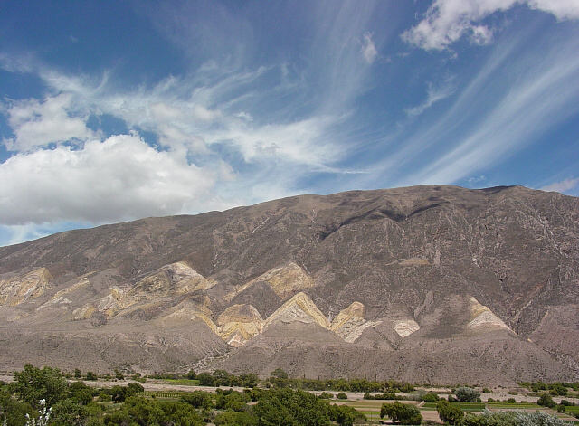 The Painter's Palette