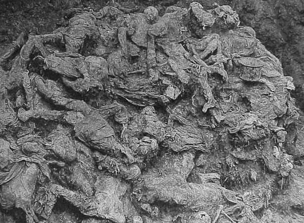 The mass graves