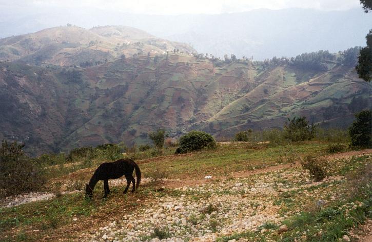 Countryside near Kenscoff