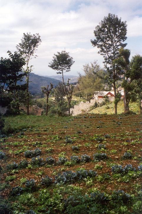 Countryside near Kenscoff