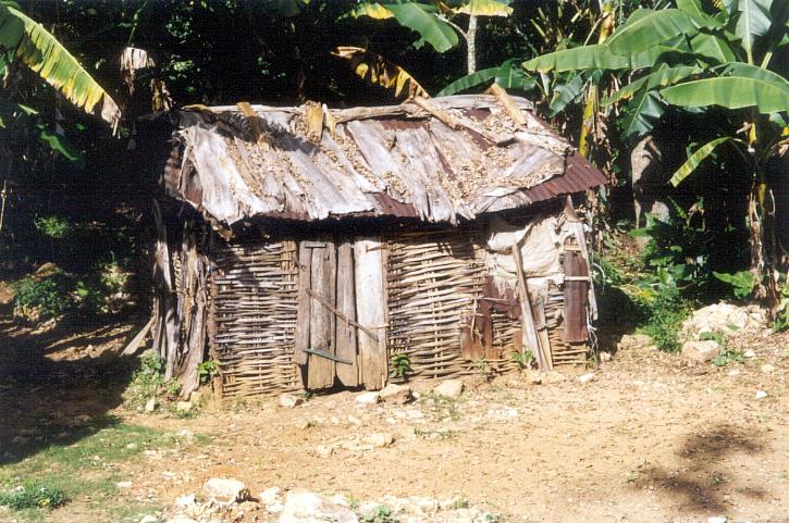 Peasant Hut