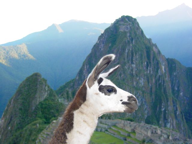 machupicchu05.jpg