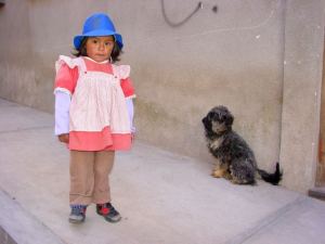 peru-bol-sm03.jpg