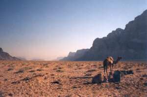 Wadi Rum (Photo)