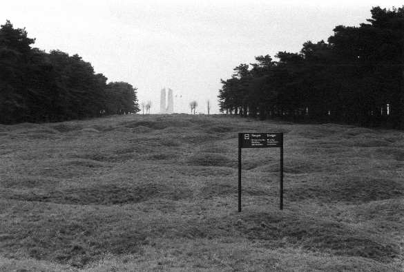 Battlefield at Vimy Ridge (b & w photo)